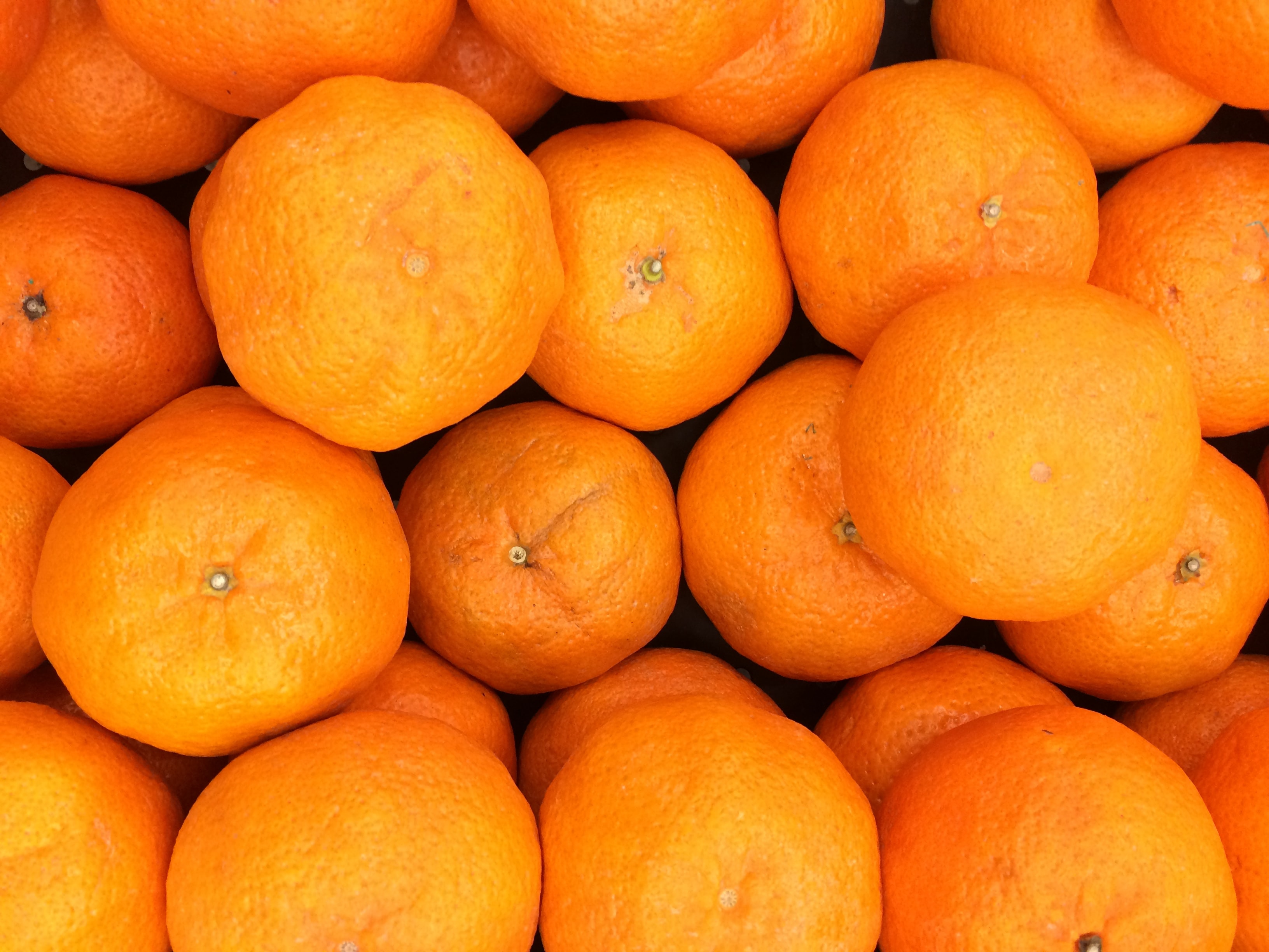 orange_1