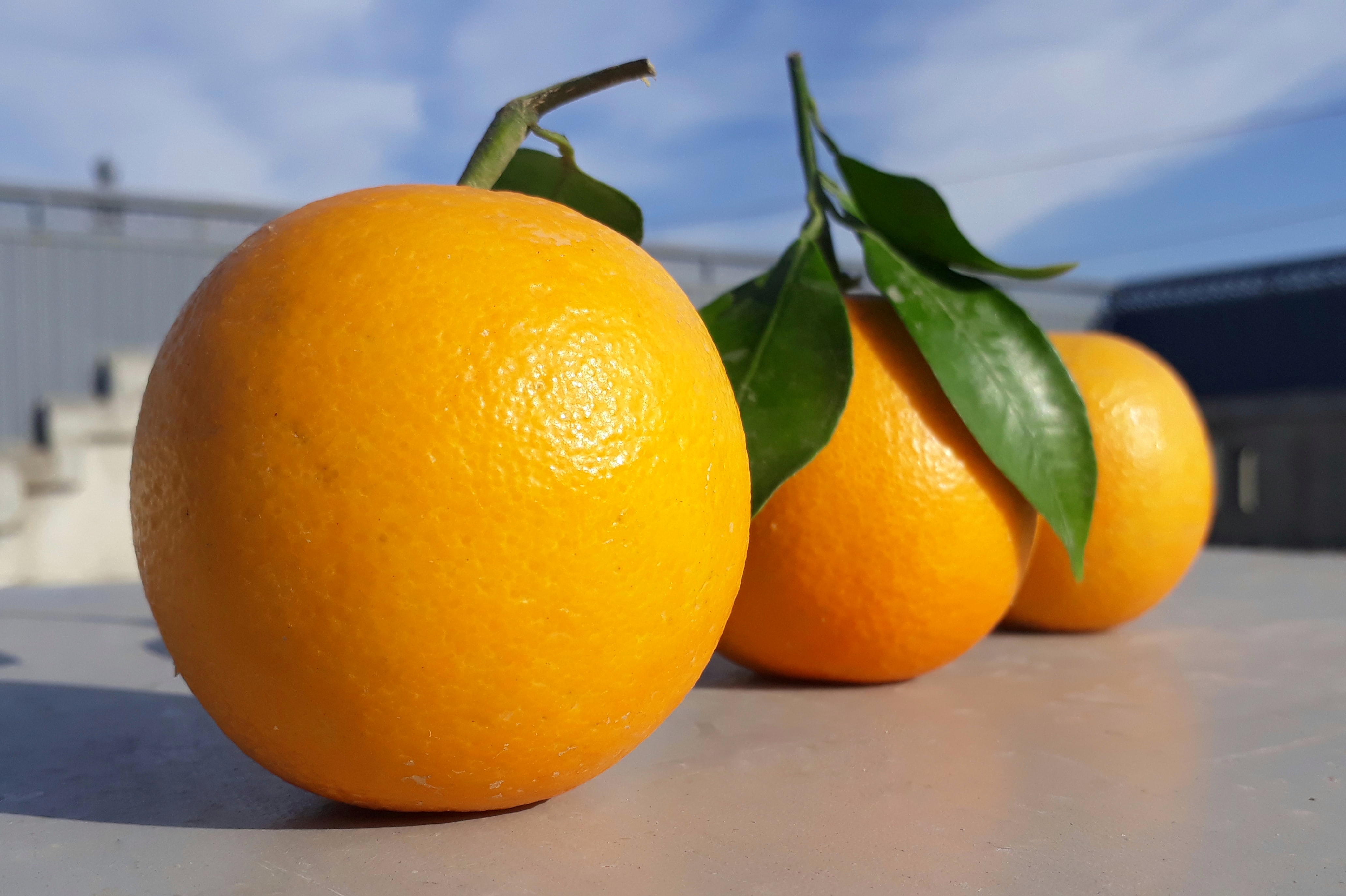orange_2